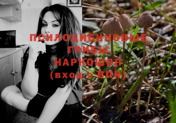 MDMA Premium VHQ Волоколамск