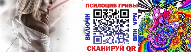 где купить наркоту  Петропавловск-Камчатский  Псилоцибиновые грибы ЛСД 